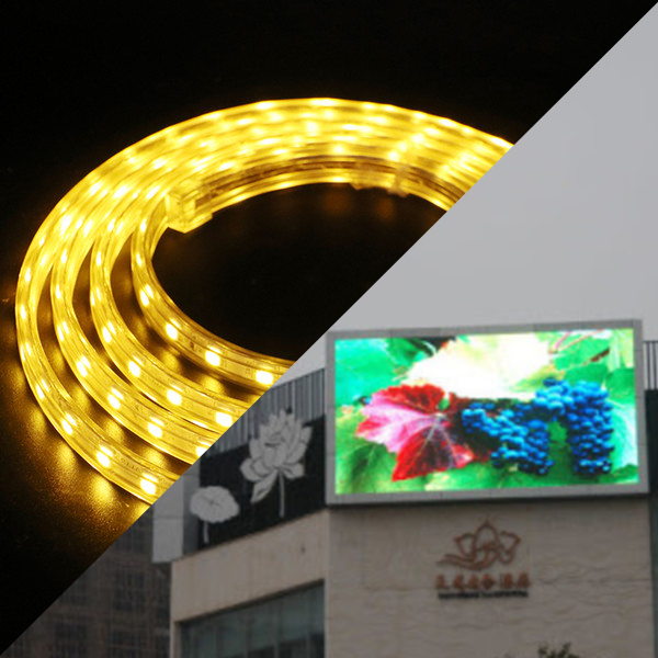 LED STRIP LIGHT SMD VS COB TYPE