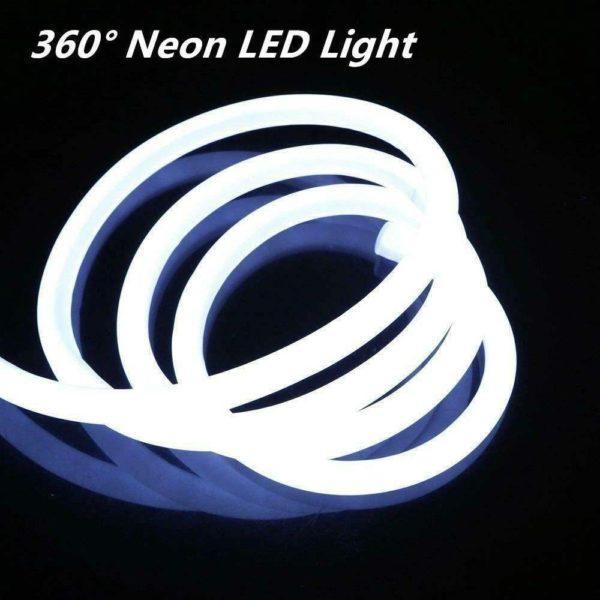 360 Degrees Neon Light Sample 1