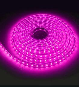 5050 LED RGB Strip Light Waterproof with Controller Colour Purple