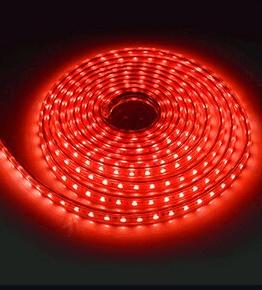 5050 LED RGB Strip Light Waterproof with Controller Colour Red