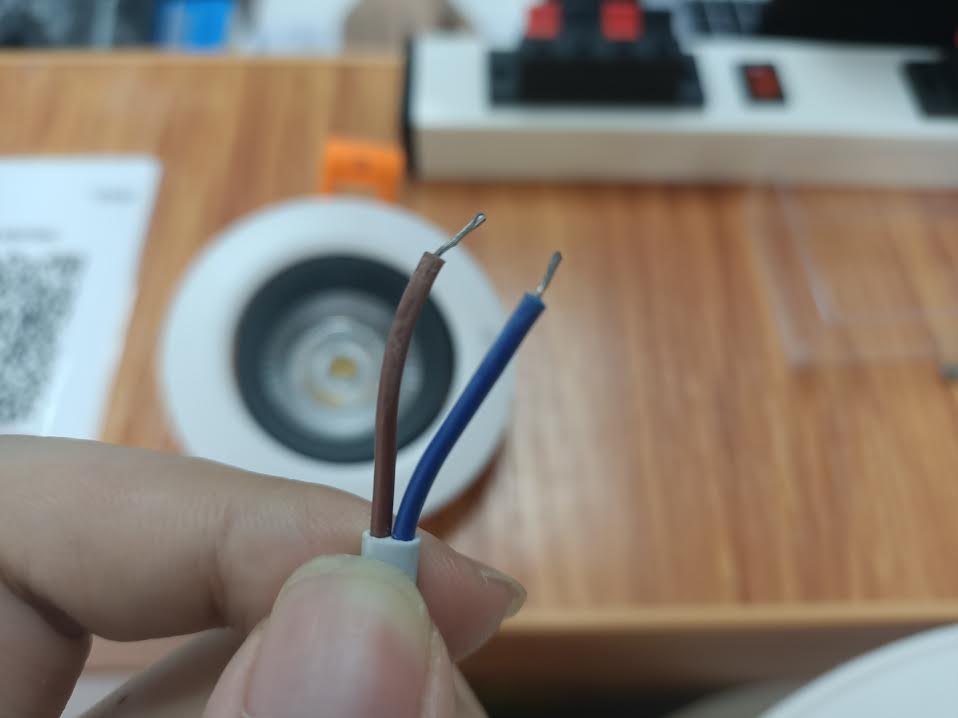 The Ultimate guide on COB Downlight wire